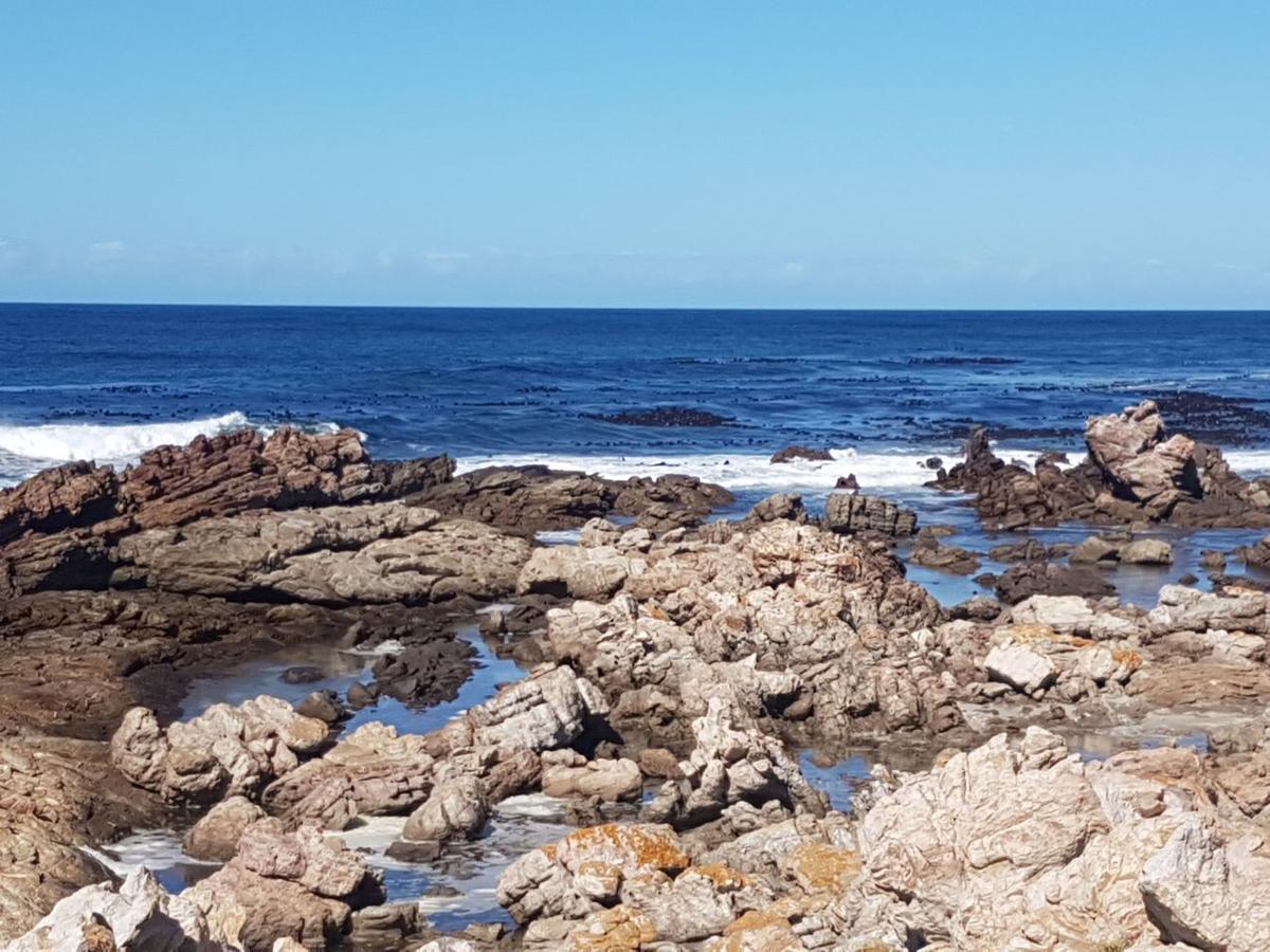 Corban Cottage Hermanus Bagian luar foto